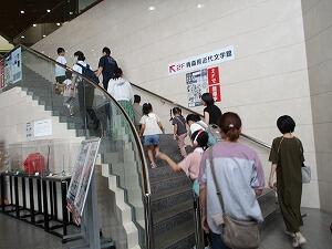 IMG_2794.jpg